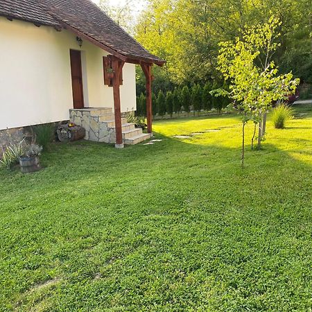 Villa Rudnicki Eko Breg Rudnik Esterno foto