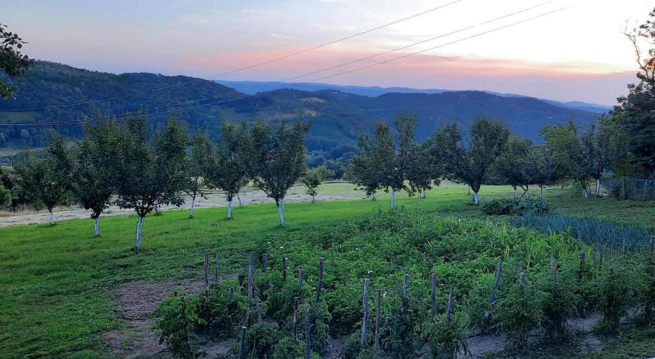 Villa Rudnicki Eko Breg Rudnik Esterno foto