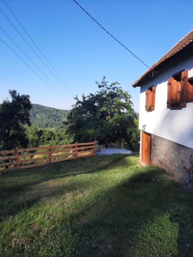 Villa Rudnicki Eko Breg Rudnik Esterno foto