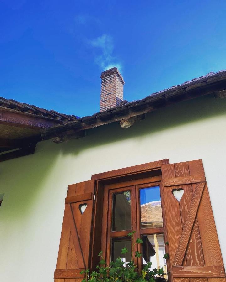 Villa Rudnicki Eko Breg Rudnik Esterno foto
