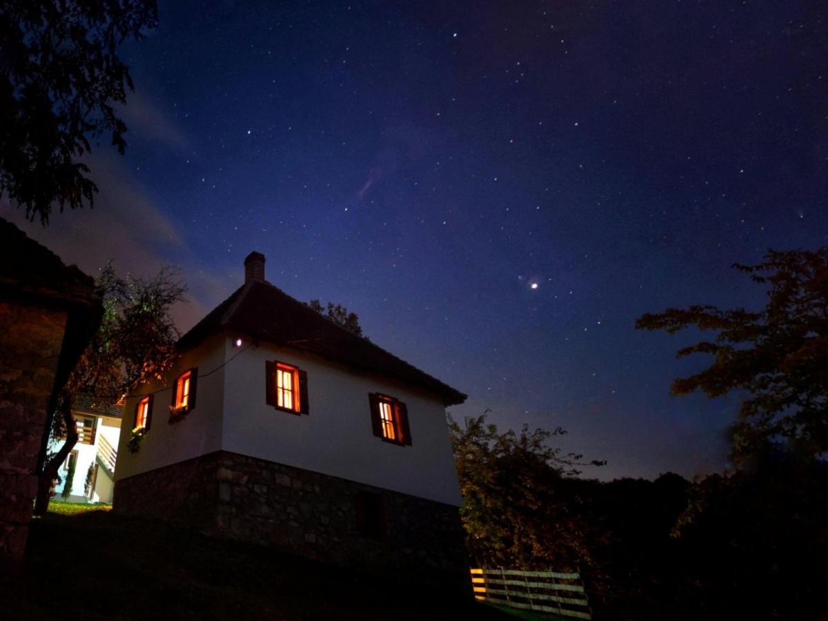 Villa Rudnicki Eko Breg Rudnik Esterno foto