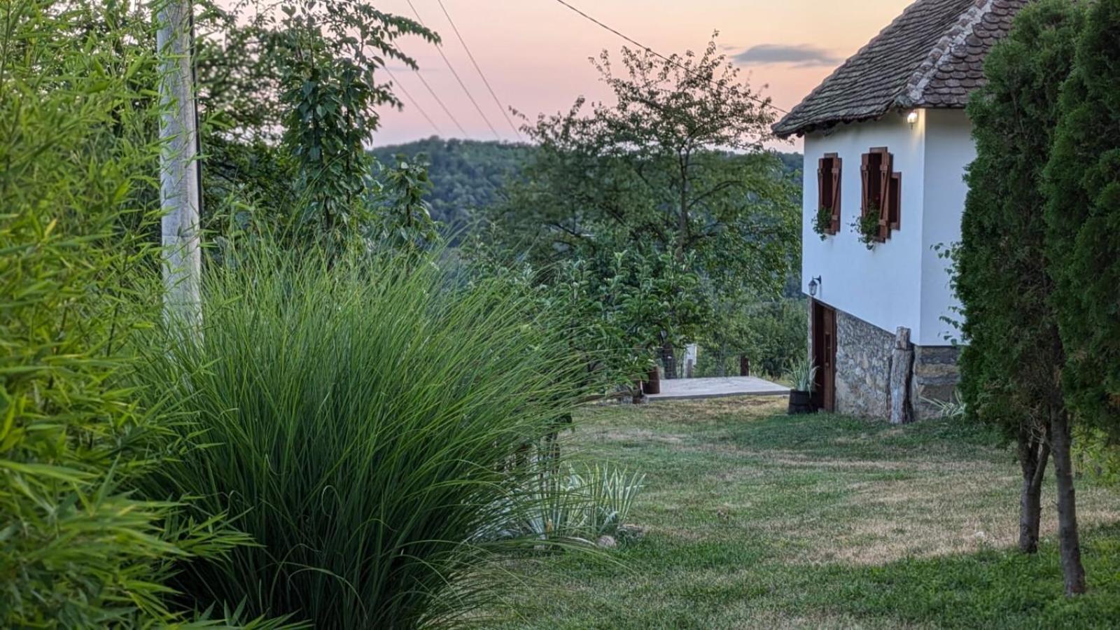 Villa Rudnicki Eko Breg Rudnik Esterno foto