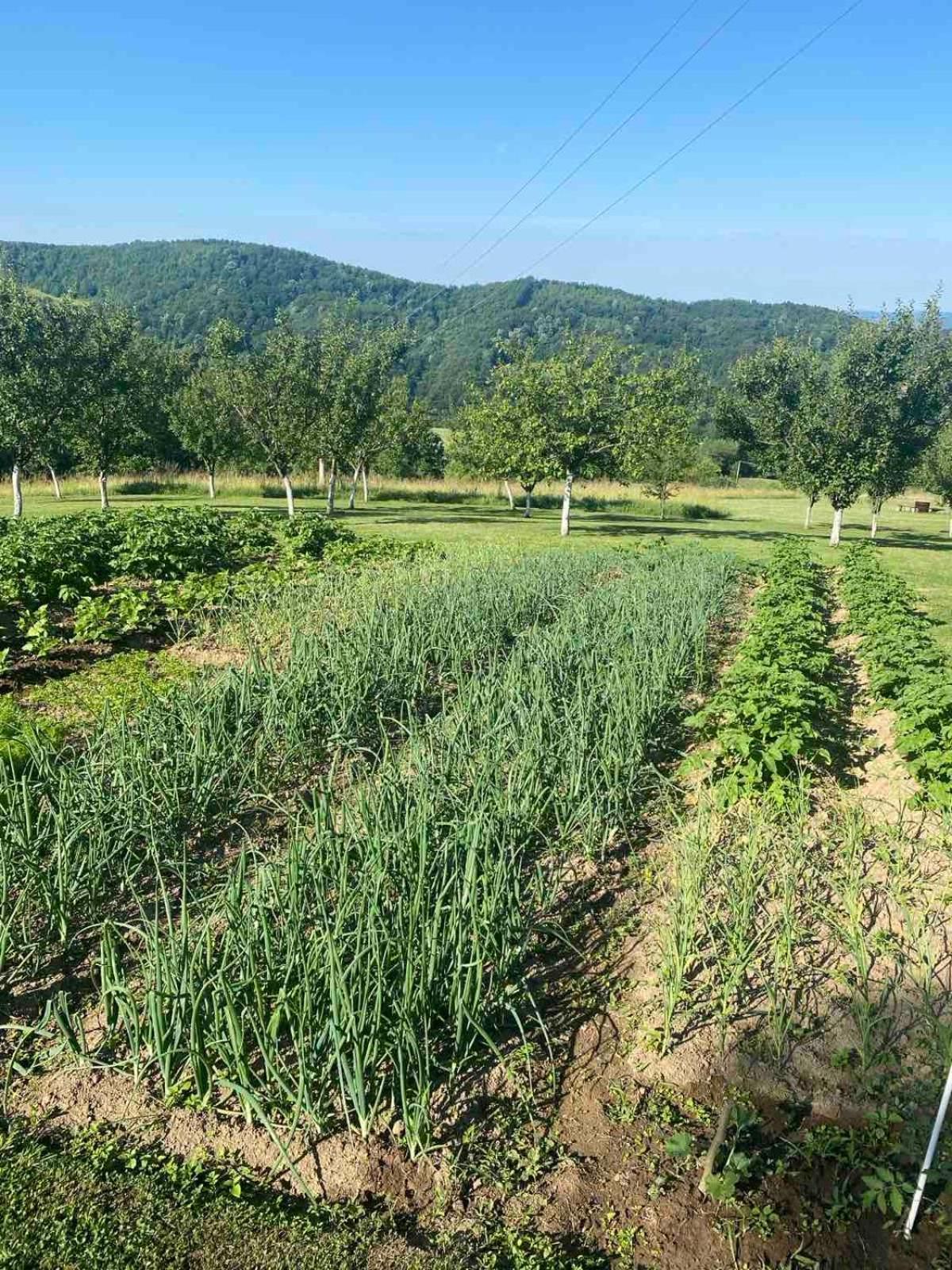 Villa Rudnicki Eko Breg Rudnik Esterno foto